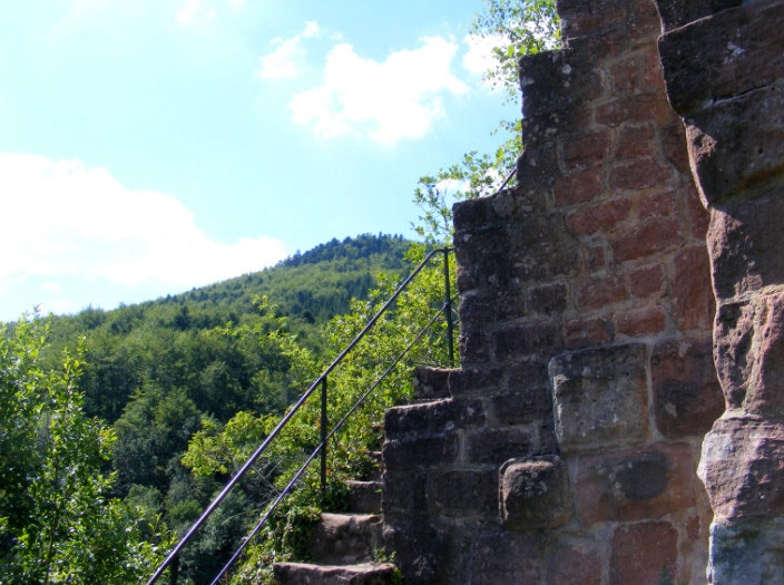 Entdeckung des Schlosses und Wasserfalls von Nideck.  Im Herzen des grössten Waldmassifs der Vogesen.